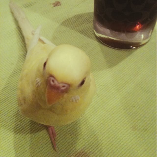 KENTA5さんの実例写真