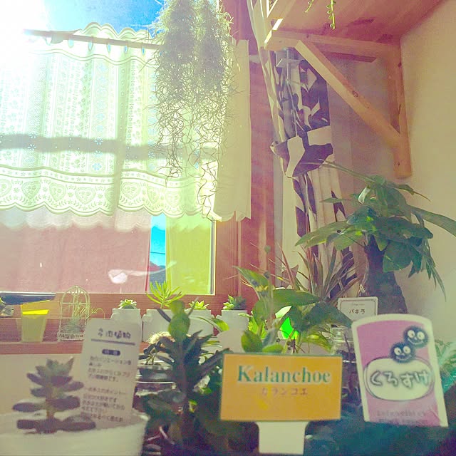 lunaさんの実例写真