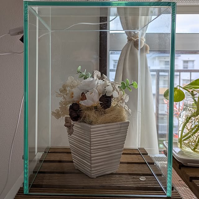 mi-saさんの部屋