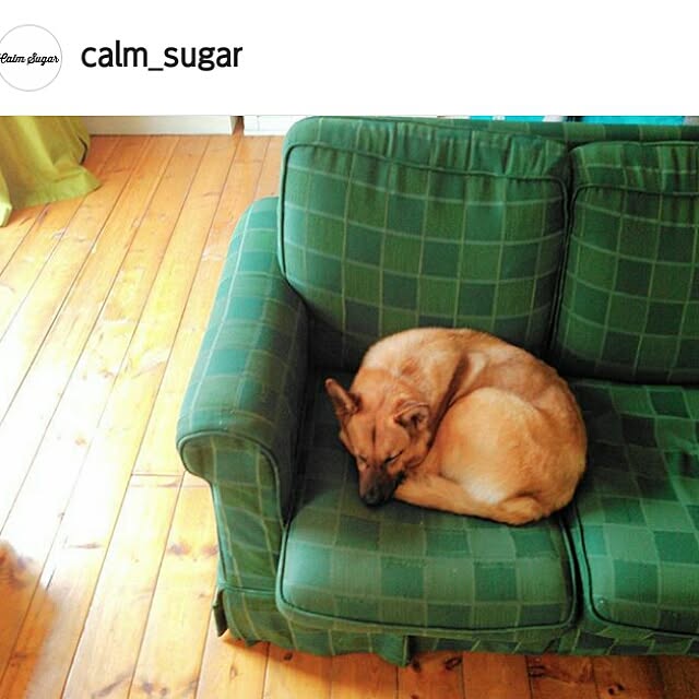 calm_sugarさんの実例写真