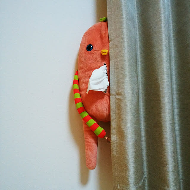 Yukariさんの実例写真
