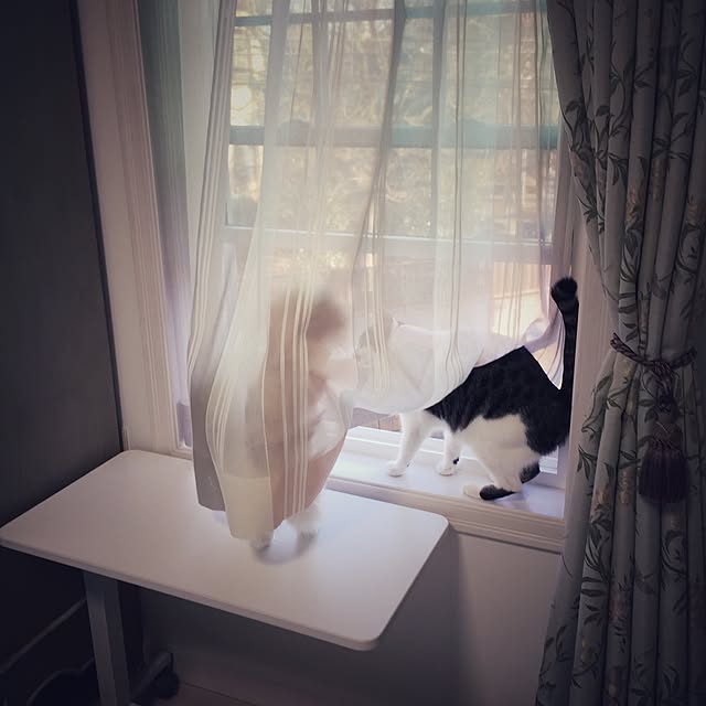 yuchiさんの実例写真