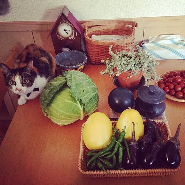 kinakoribon.さんの実例写真