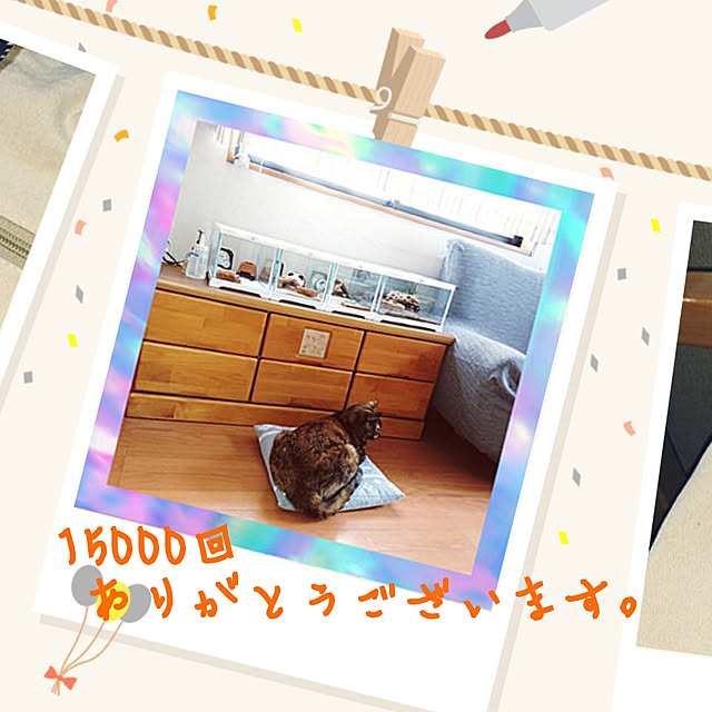 H23さんの実例写真