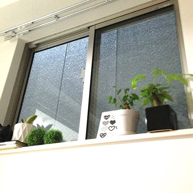 Maikaさんの実例写真