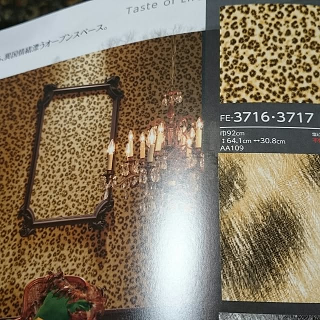 Kenzirouさんの実例写真