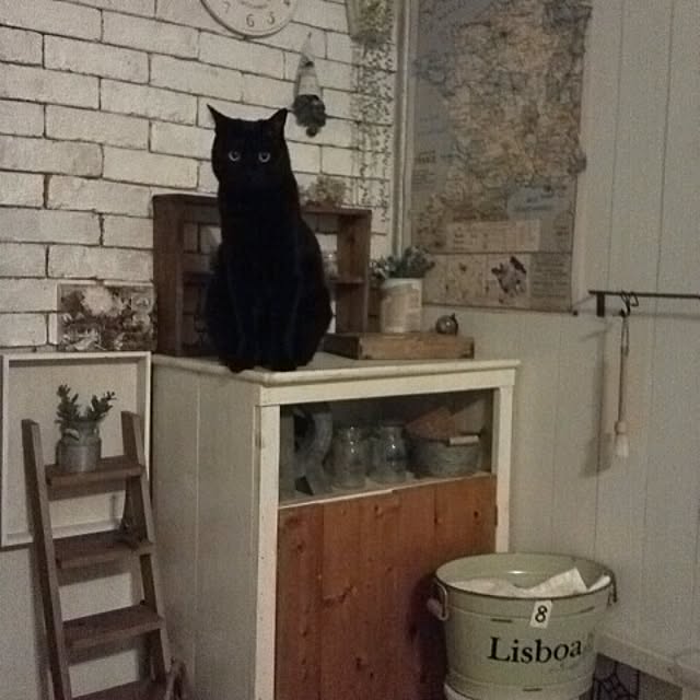 mikiさんの実例写真