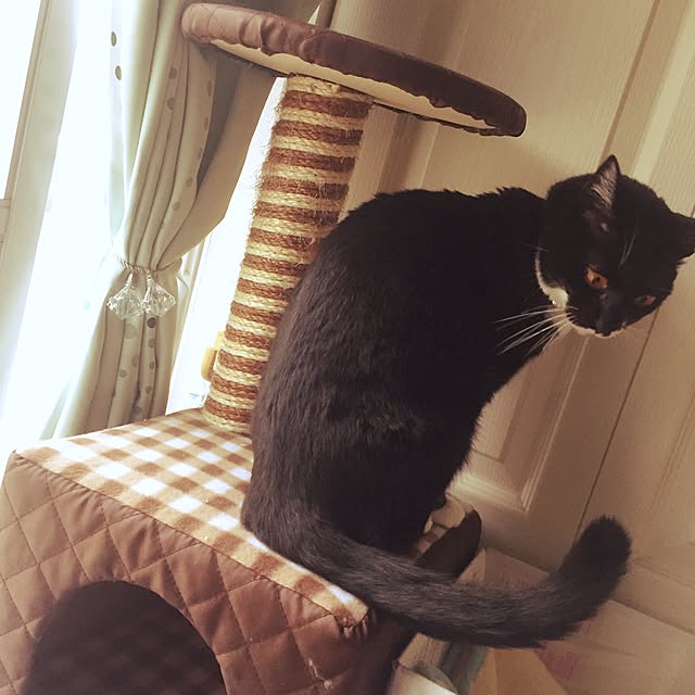 mamiさんの実例写真