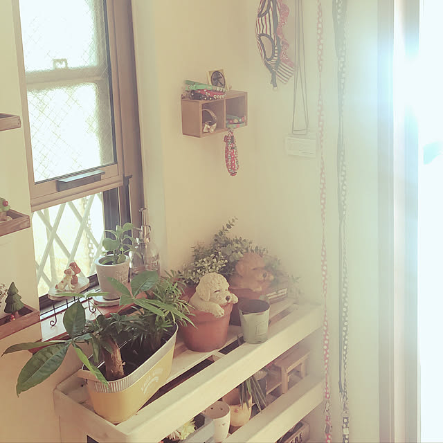 ナチュラル/観葉植物/玄関/入り口のインテリア実例 - 2019-07-08 11:13:49