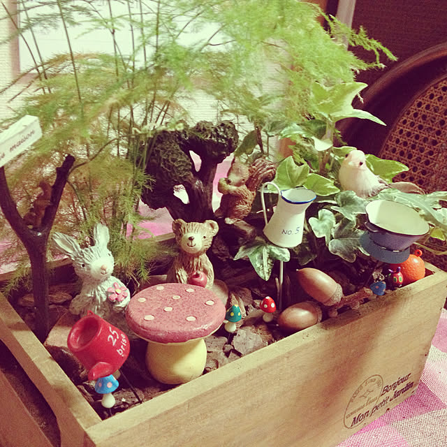 akarichanさんの実例写真