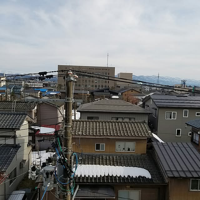 実例写真