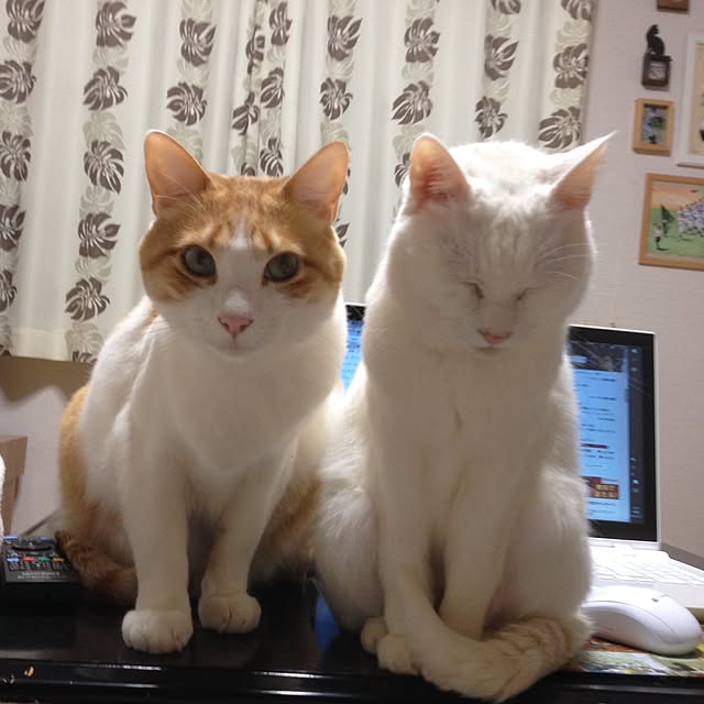 Kinanさんの実例写真