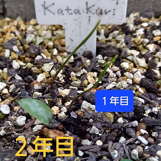 civicglさんの実例写真