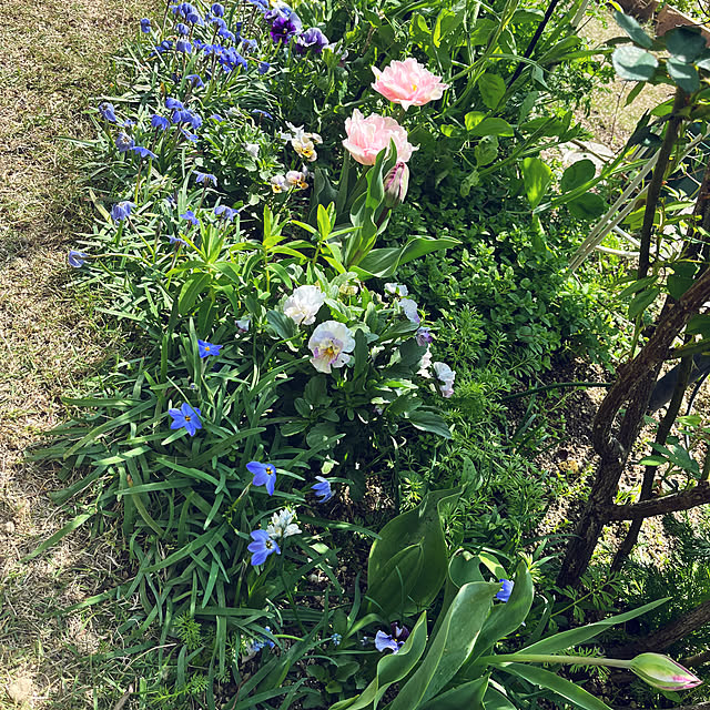 rokokoさんの部屋