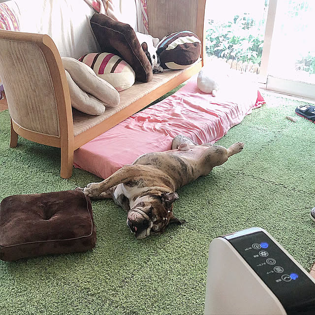 chi_gogaさんの実例写真
