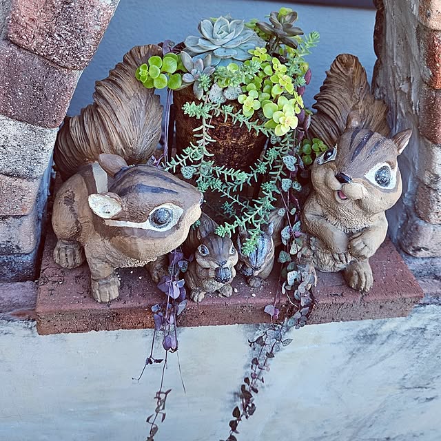 mocomocoさんの部屋