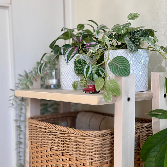 Lucyさんの実例写真