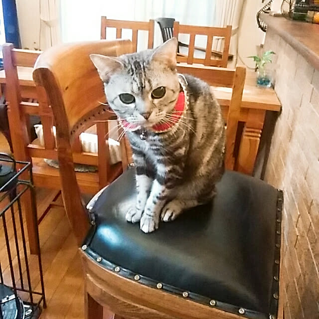 036さんの実例写真
