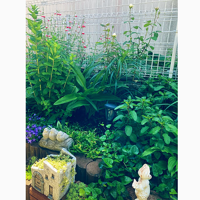 CoCo0617さんの部屋