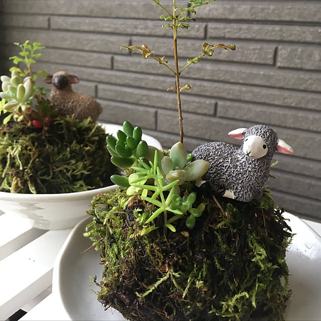 sirotumekusaさんの実例写真