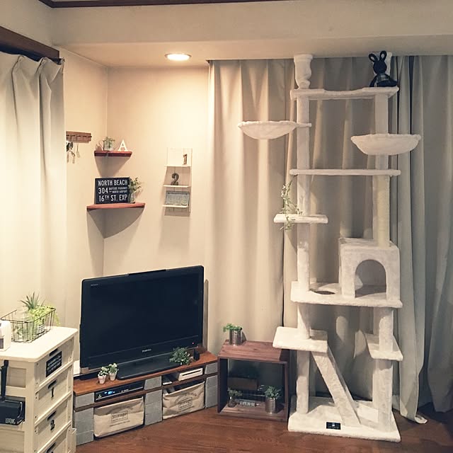 mahi1101さんの実例写真