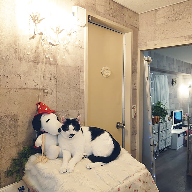 asuminさんの実例写真