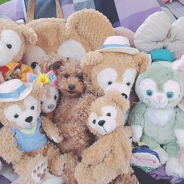 Momoさんの実例写真