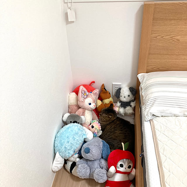 kirinsanさんの実例写真