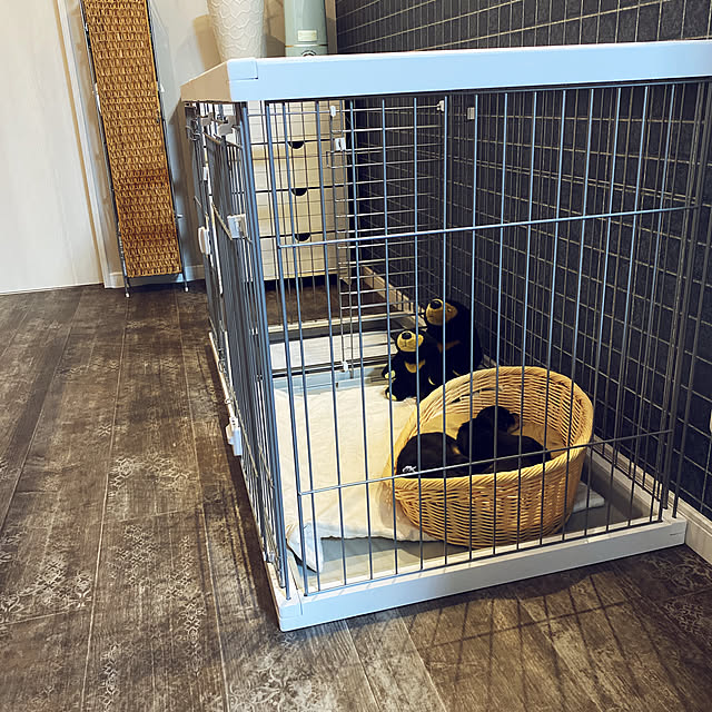 uninekoさんの実例写真