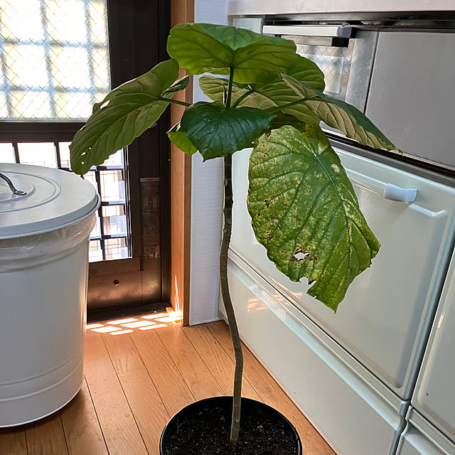 tayuさんの部屋