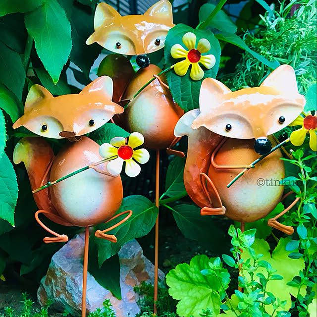 tinkunさんの実例写真