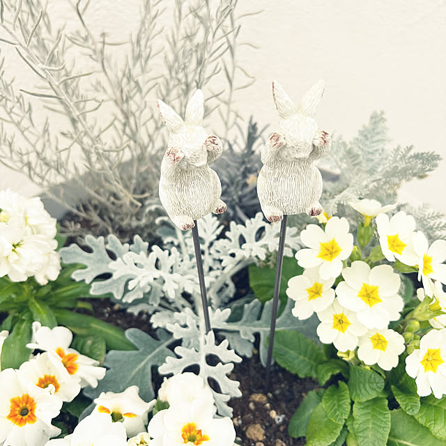 ma_jolie_maisonさんの部屋