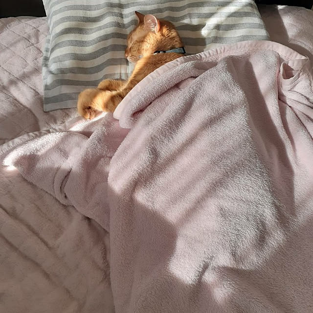 amtさんの実例写真