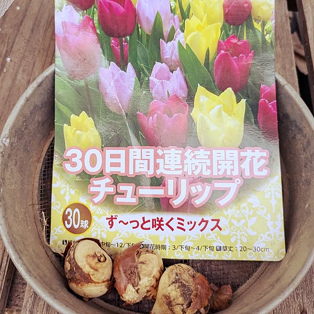 mofukoさんの部屋