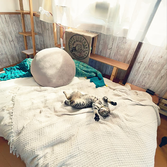 Mさんの実例写真