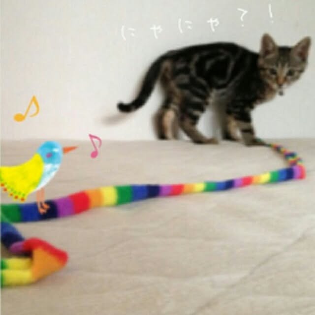 sucre-cassonadeさんの実例写真