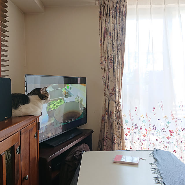 okyosan101さんの実例写真