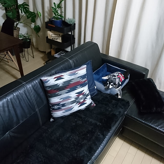 lovepeaceさんの実例写真