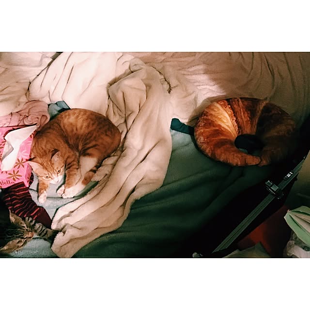 micamicapunさんの実例写真