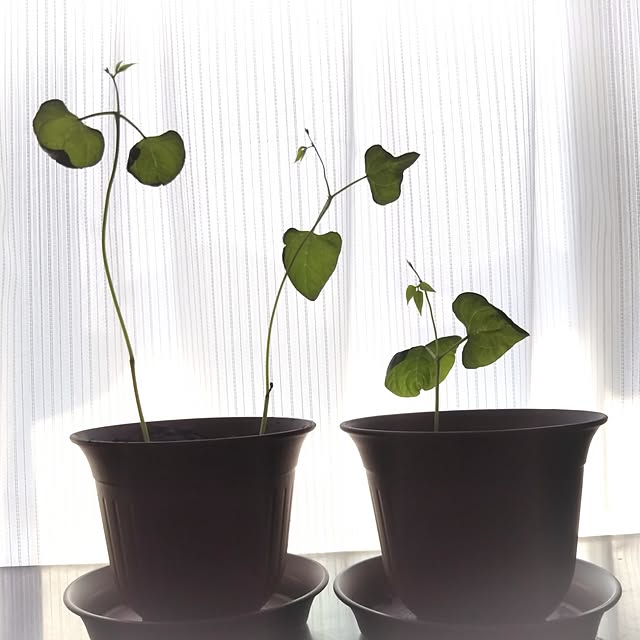 happyさんの部屋