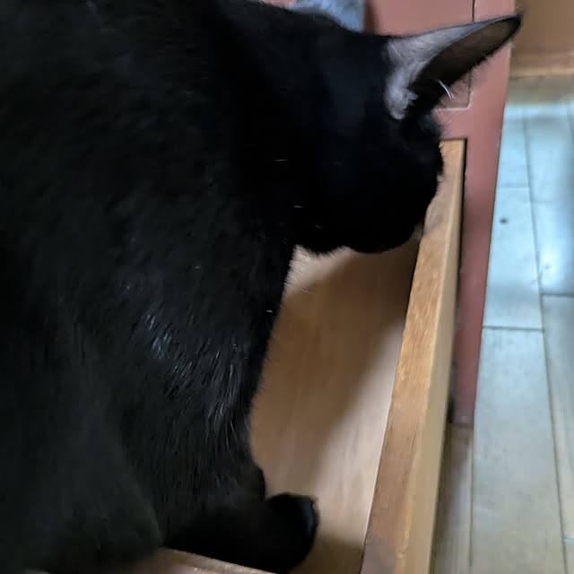 asaさんの部屋