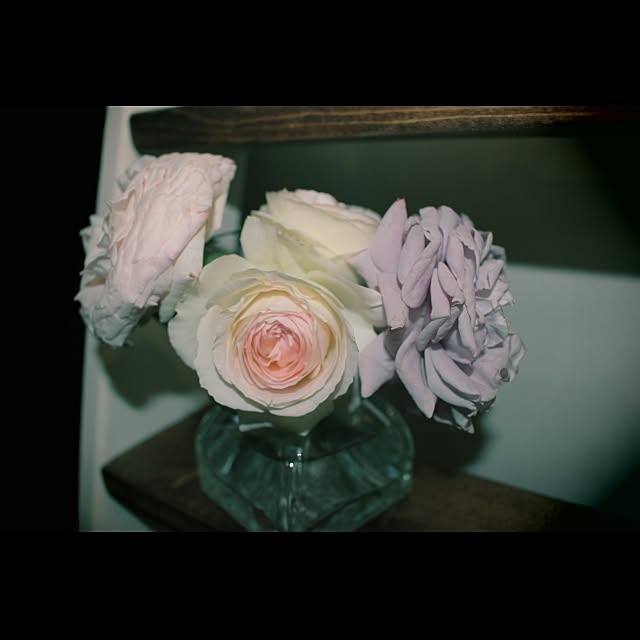 wisteriaさんの実例写真