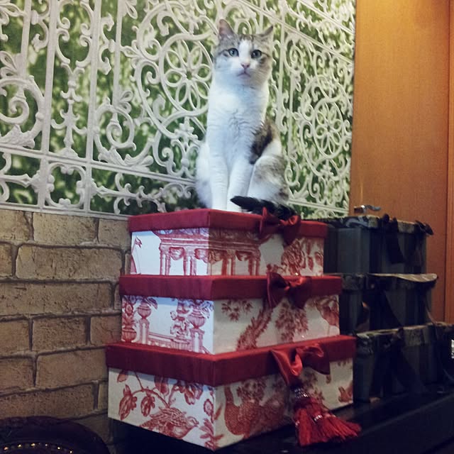 emmyyさんの実例写真