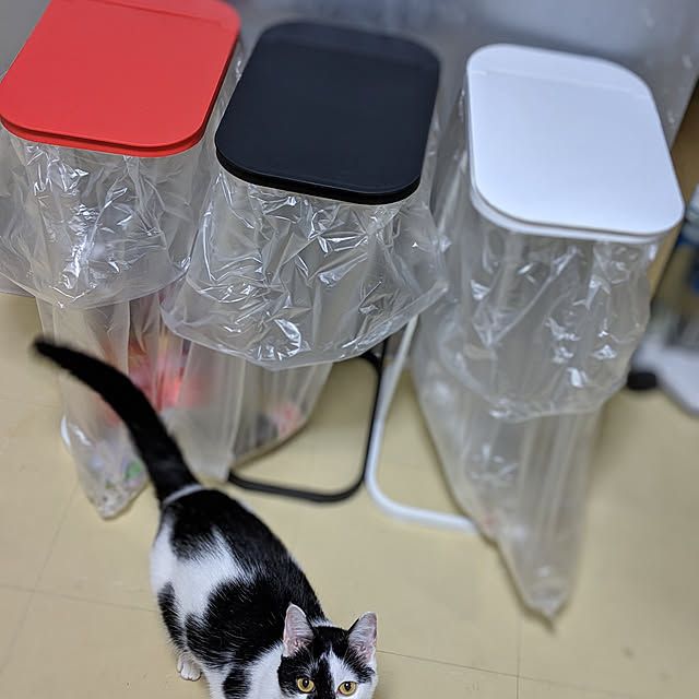sukeさんの実例写真
