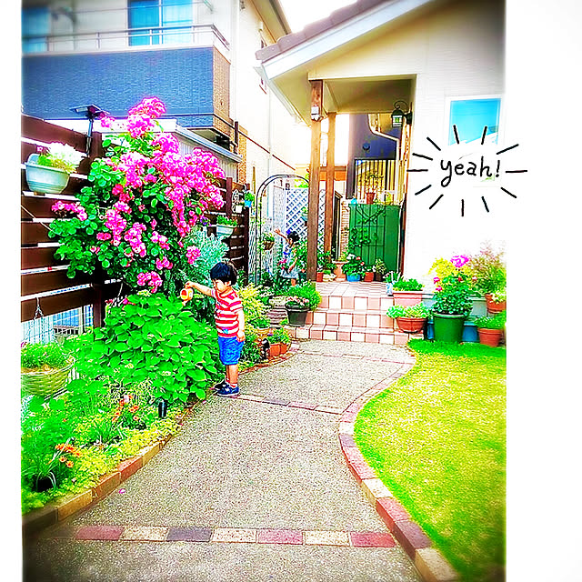 hinamamaさんの実例写真