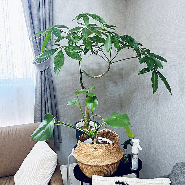 emuさんの部屋