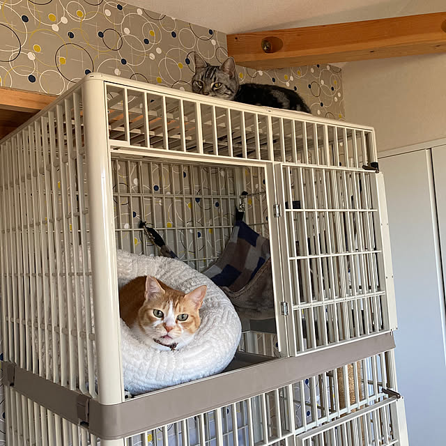 mkmkmoominさんの部屋