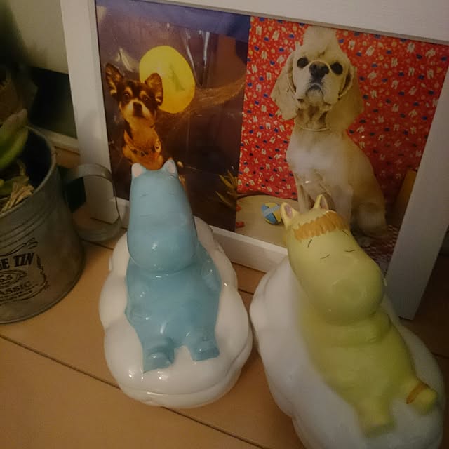 rinmarorinさんの実例写真