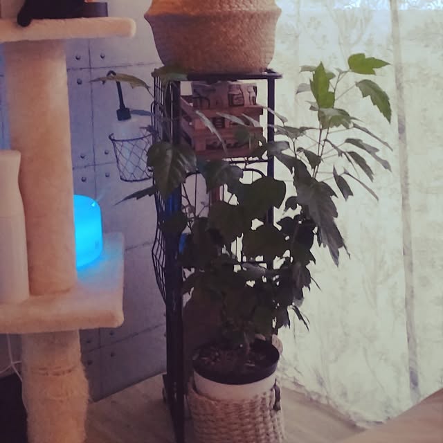 runaさんの部屋