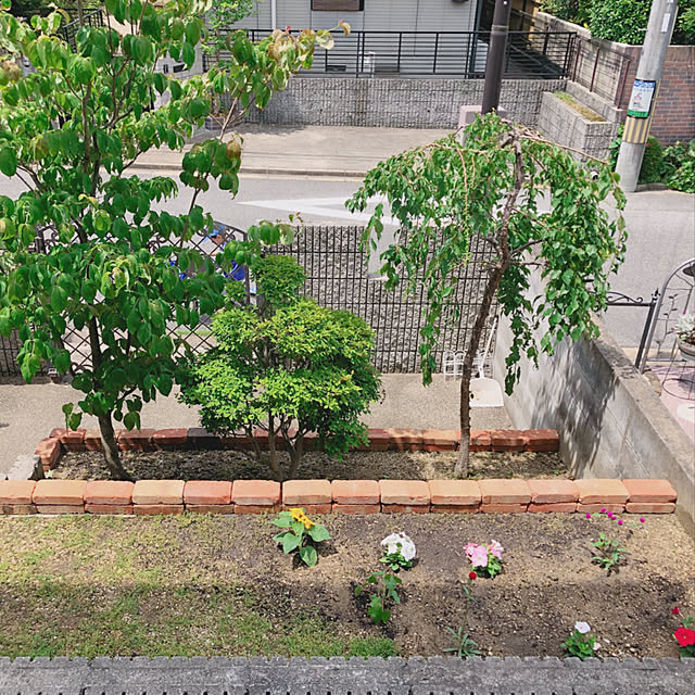 shunkaさんの実例写真